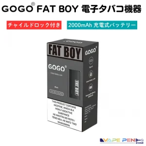 GOGO Fat Boy 2000 device