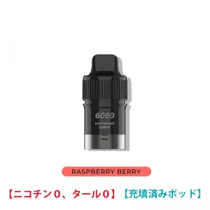 Raspberry Berry - IGET Bar Plus Pod 0 ニコチン