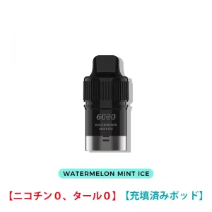 Watermelon Ice - IGET Bar Plus Pod 0 ニコチン