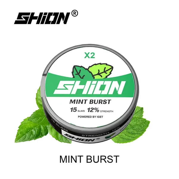 mint burst IGET SHION X2 Nicotine Pouch 12mg-2