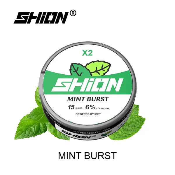 mint burst IGET SHION X2 Nicotine Pouch 6mg-2